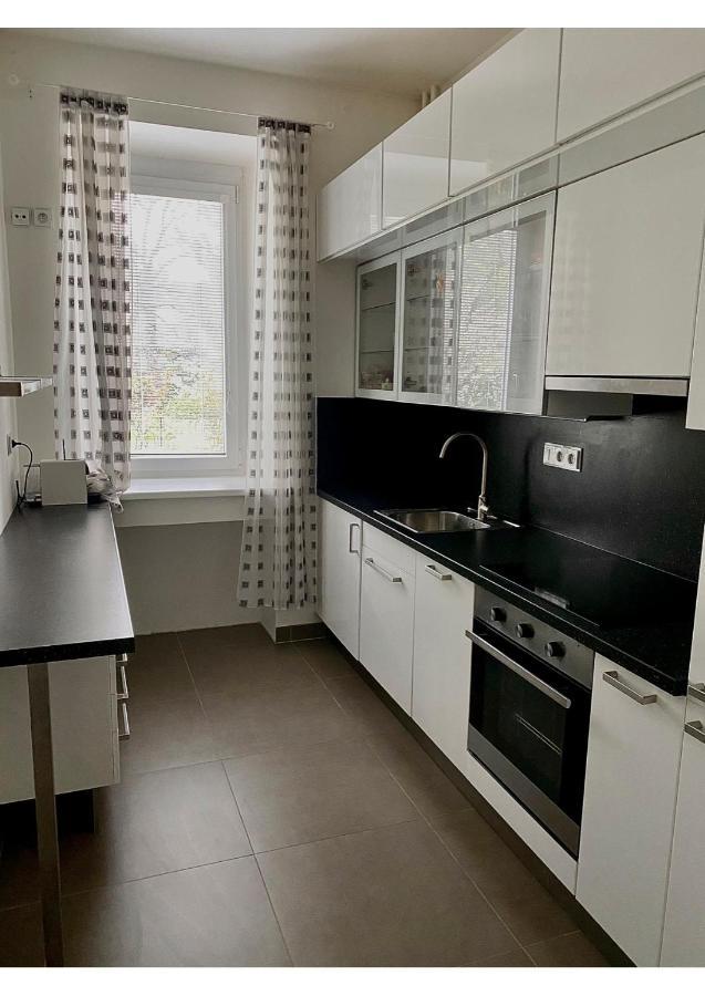 Studio Apartment In Center ברנו מראה חיצוני תמונה
